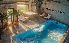 MAŁE ALPY&SPA - Willa z Basenem Krynica-Zdrój